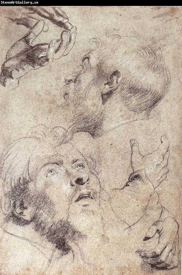 Peter Paul Rubens Four hand and two man-s head portrait